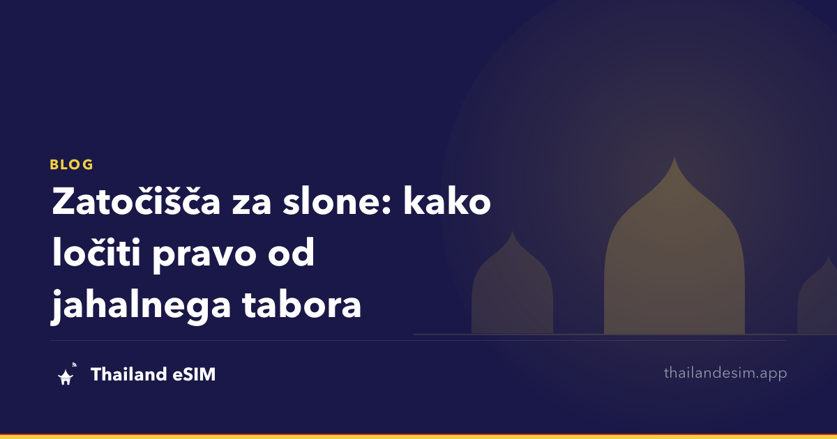 Zatočišča za slone: kako ločiti pravo od jahalnega tabora